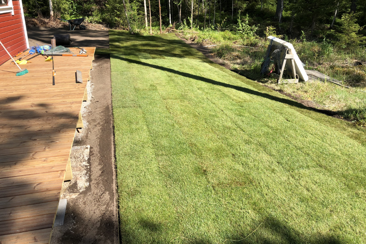 sod installation 1