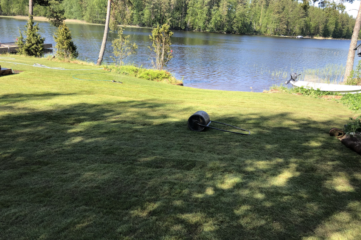 sod installation 3